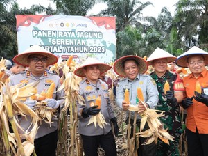 Wujudkan Swasembada Pangan, Polda Riau Panen Raya Jagung Serentak di Kampar