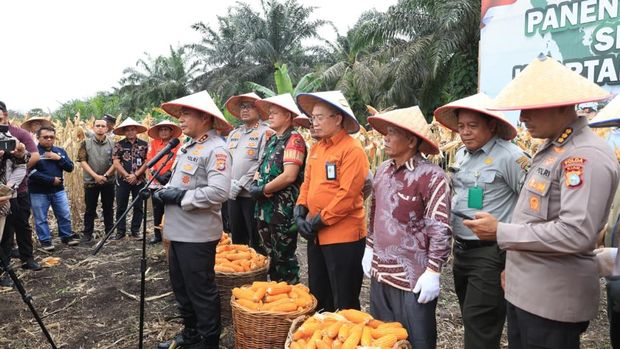 Polda Riau gelar panen jagung serentak di Kabupaten Kampar, Kamis (8/1/2026).