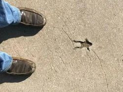 Deretan Momen Sial yang Terekam Kamera Bikin Ketawa