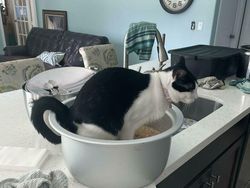 Deretan Momen Sial yang Terekam Kamera Bikin Ketawa