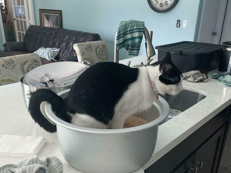 Deretan Momen Sial yang Terekam Kamera Bikin Ketawa