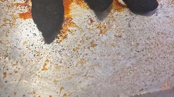 Niatnya masak makan malam, hasilnya justru jadi arang dan bikin dapur penuh penyesalan. Foto: Boredpanda