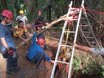 Damkar Evakuasi Sapi Tercebur ke Sumur 30 Meter di Luwu Timur