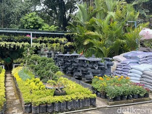 Pasar Tanaman Hias Tegallega yang Menolak Layu