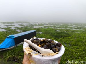 Menikmati Tutut Dadakan Kaya Rempah di Tepian Waduk Darma Kuningan