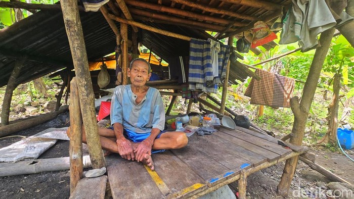 Uloh yang hidup di gubuk tengah hutan Sukabumi