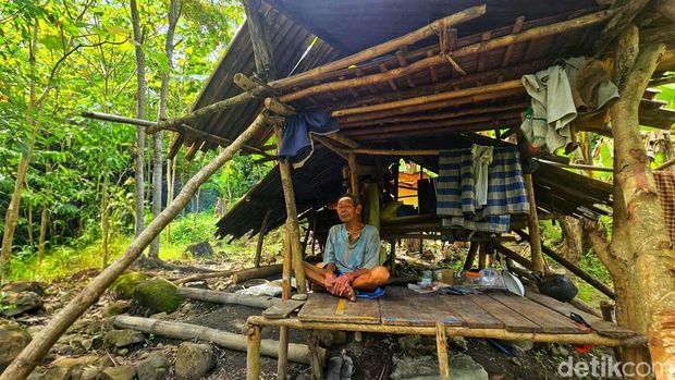 Uloh yang hidup di gubuk tengah hutan Sukabumi