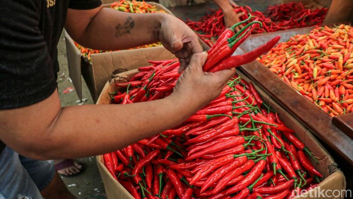 Harga cabai di Pasar Induk Kramat Jati, Jakarta Timur, mengalami penurunan signifikan usai periode Natal dan Tahun Baru (Nataru), Kamis (8/1/2026).