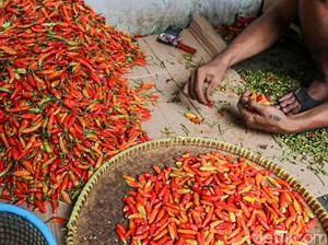 Harga Sembako Jogja Hari Ini 9 Januari 2026: 4 Cabai dan Daging Ayam Turun!