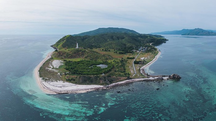 Maluku Punya Kawasan Konservasi Baru, Masuk Jalur Migrasi Hiu Paus