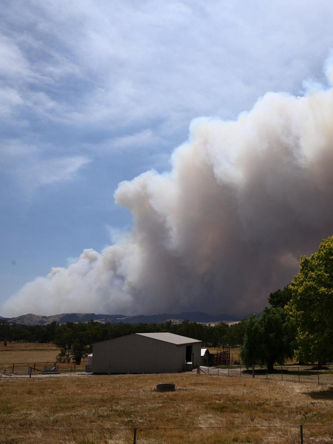 Asap Tebal Selimuti Victoria Akibat Kebakaran Longwood