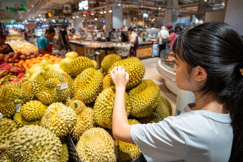 Ilustrasi durian