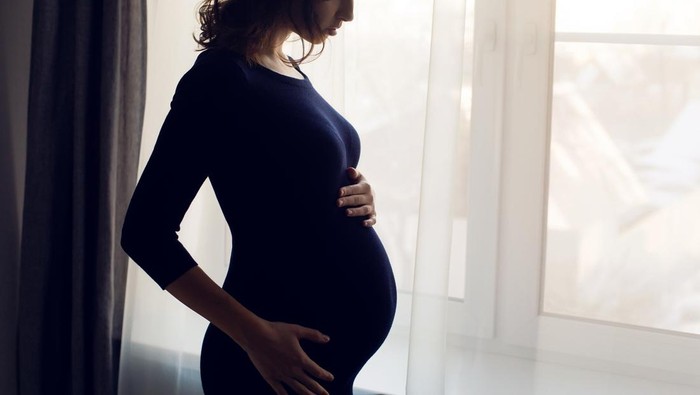 Viral Pro-Kontra Pinjam Rahim Lewat Surrogacy, Obgyn Bilang Gini
