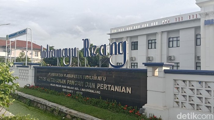 DKPP Tegaskan Indramayu Bebas Perkebunan Kelapa Sawit