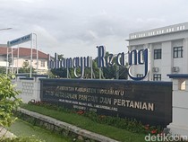 DKPP Tegaskan Indramayu Bebas Perkebunan Kelapa Sawit