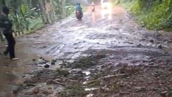 Tanah Longsor-Pohon Tumbang Saat Hujan Deras di Mojokerto