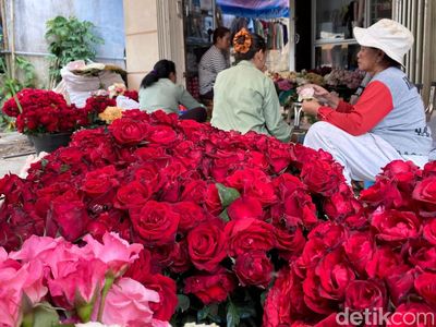 Pasokan Mawar di Kota Batu Merosot Tajam hingga 80 Persen