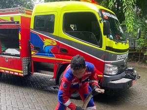Ular Piton 4 Meter Nyelonong ke Permukiman Warga Tallo Makassar Bikin Geger