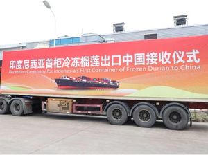 RI Ekspor Durian Beku ke China