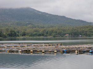 Warga Minta Keramba Apung Danau Batur Tak Dilarang, tapi Ditempatkan Khusus