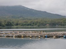 Warga Minta Keramba Apung Danau Batur Tak Dilarang, tapi Ditempatkan Khusus