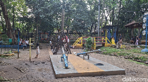 Taman Lembah Gurame: Oase Healing yang Tak Boleh Dilewatkan di Kota Depok