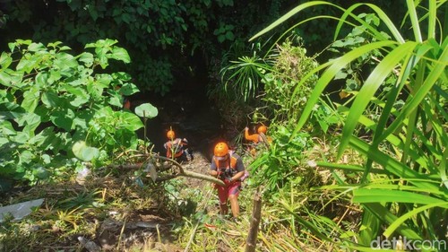 Tim SAR gabungan melakukan pencarian lansia hilang di Lingkungan Uma Anyar Anggungan, Kelurahan Lukluk, Kecamatan Mengwi, Badung, Bali, Jumat (9/1/2026). (Foto: Agus Eka/detikBali)