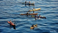 Anak anak koin berpose di koli koli mereka di laut biru.