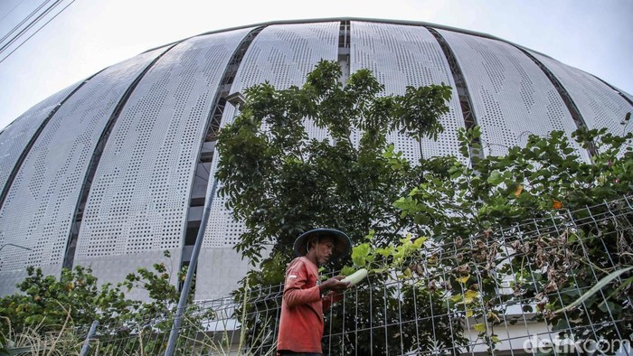 Seorang warga bertani di kawasan Kampung Susun Bayam JIS, Jakarta Utara, Jumat (9/1/2026). Warga Kampung Susun Bayam kini mulai bangkit dengan mengelola lahan pertanian secara mandiri di lingkungan tempat tinggal mereka.