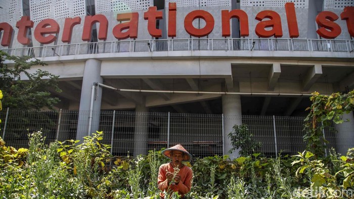 Warga Kampung Susun Bayam Hidup Mandiri dengan Bertani Seorang warga bertani di kawasan Kampung Susun Bayam JIS, Jakarta Utara, Jumat (9/1/2026). Warga Kampung Susun Bayam kini mulai bangkit dengan mengelola lahan pertanian secara mandiri di lingkungan tempat tinggal mereka.