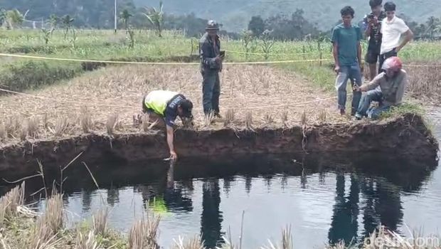 Warga mengambil air dari lubang raksasa yang ada di tengah sawah, Limapuluh Kota, Sumatera Barat (Jeka Kampai/detikcom)
