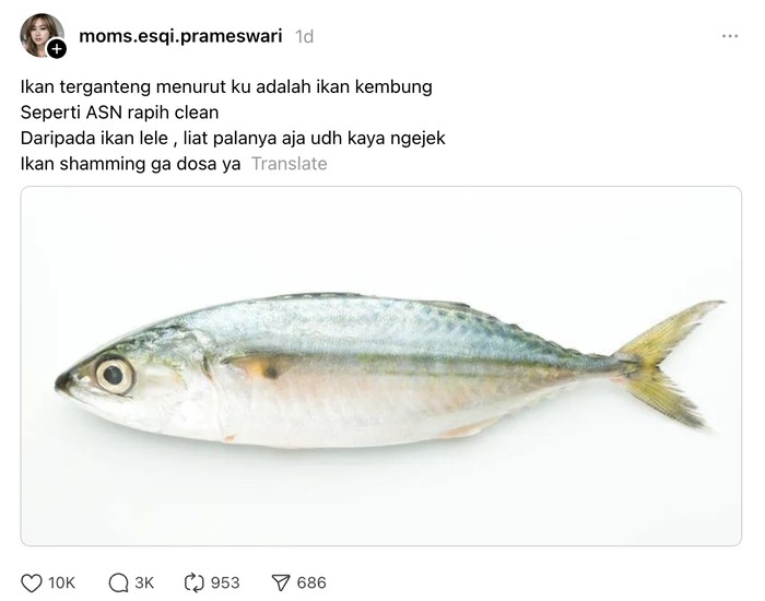 Ada-ada Aja! Netizen Ungkap Ikan yang 'Ganteng' hingga Mirip 'Ani-ani'!