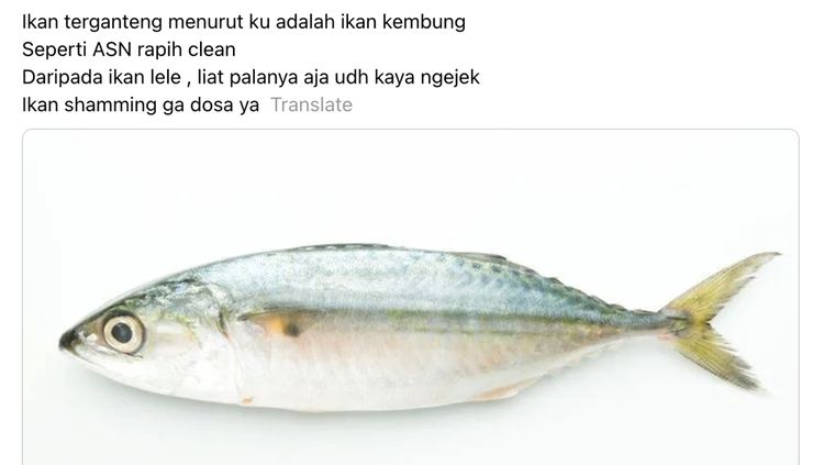 Ada-ada Aja! Netizen Ungkap Ikan yang Ganteng hingga Mirip Ani-ani!