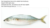 Ada-ada Aja! Netizen Ungkap Ikan yang 'Ganteng' hingga Mirip 'Ani-ani'!