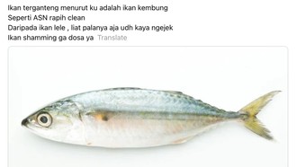 Ada-ada Aja! Netizen Ungkap Ikan yang 'Ganteng' hingga Mirip 'Ani-ani'!