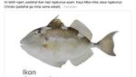 Ada-ada Aja! Netizen Ungkap Ikan yang Ganteng hingga Mirip Ani-ani!