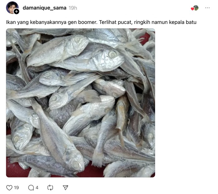 Ada-ada Aja! Netizen Ungkap Ikan yang 'Ganteng' hingga Mirip 'Ani-ani'!