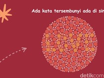 Cuma Si Pemilik Mata Tajam yang Bisa Tebak Angka Ini Tanpa Zoom!