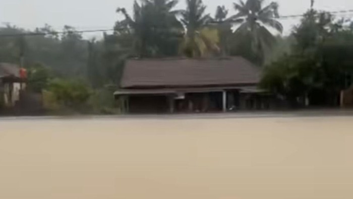 Banjir di OKI Rendam Ribuan Rumah dan Sawah Warga