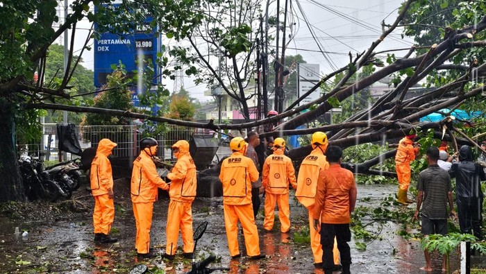 Pohon Tumbang Tutup Jalan Gatot Subroto Makassar, BPBD Evakuasi