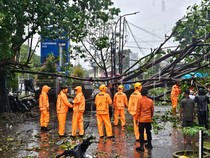 Pohon Tumbang Tutup Jalan Gatot Subroto Makassar, BPBD Evakuasi