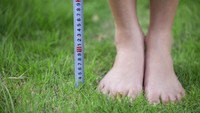 Tinggi Badan Tiba-tiba 'Menyusut'? Hati-hati, Bisa Jadi Tanda Osteoporosis