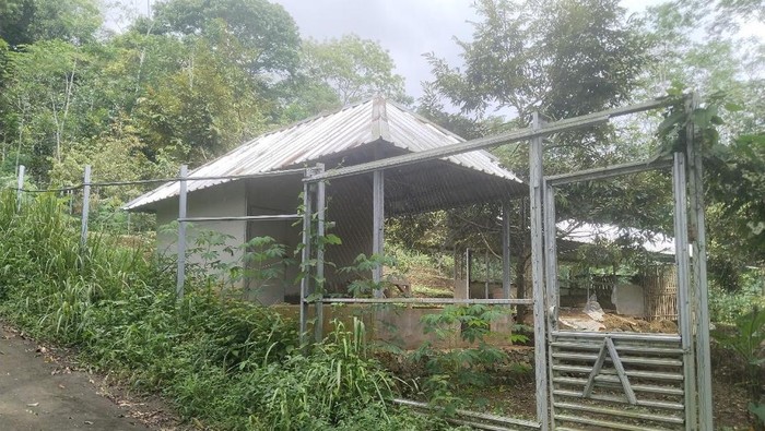 Teror Satwa Liar Hantui Ciamis, 30 Ekor Ayam Mati