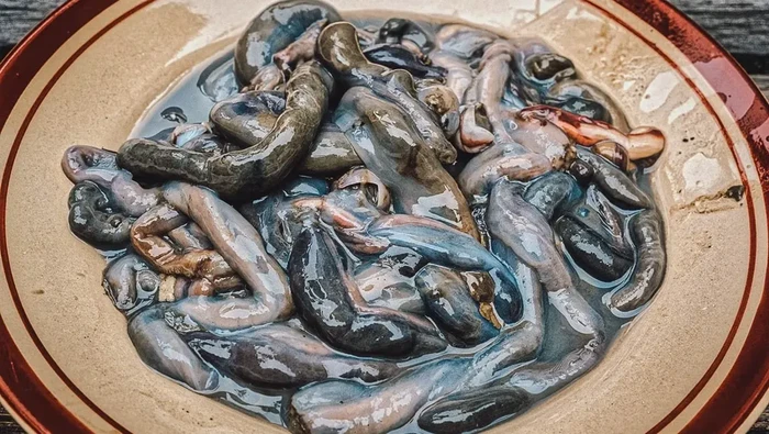 Makanan ekstrem Filipina