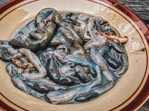 Nggak Cuma Balut, Ini 7 Makanan Ekstrem Filipina yang Bikin Bergidik!