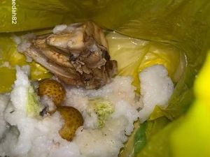 Video: Kronologi MBG di Pandeglang Berwadah Kantong Plastik
