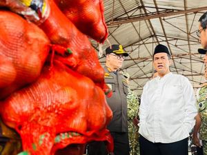 Mentan Sita 133,5 Ton Bawang Bombai Impor Ilegal di Semarang