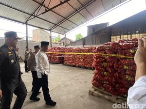 Mentan Cek Sitaan 123 Ton Bawang Bombai Impor Ilegal di Semarang: Bawa Penyakit