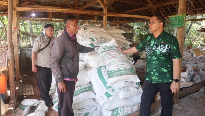 Kuningan Larang Sawit, Petani Didorong Beralih ke Kelapa Genjah