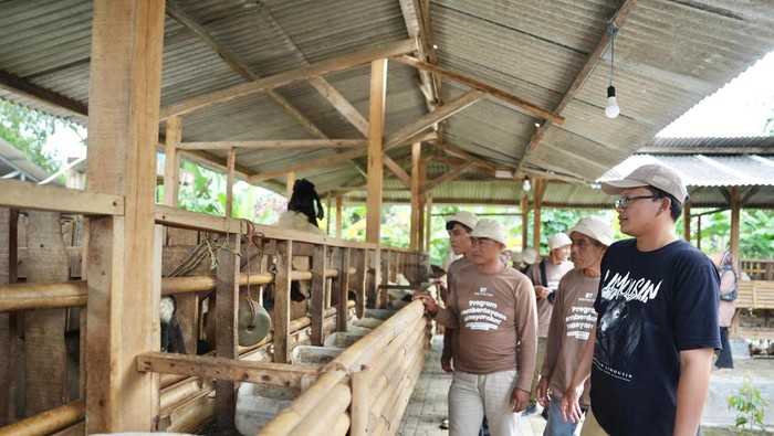Peternakan terintegrasi di Desa Batulawang Cianjur